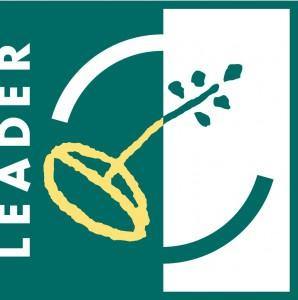 LEADER 29