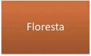Floresta ve