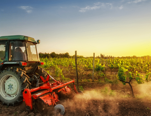 Candidaturas abertas aos pequenos investimentos na exploração agrícola